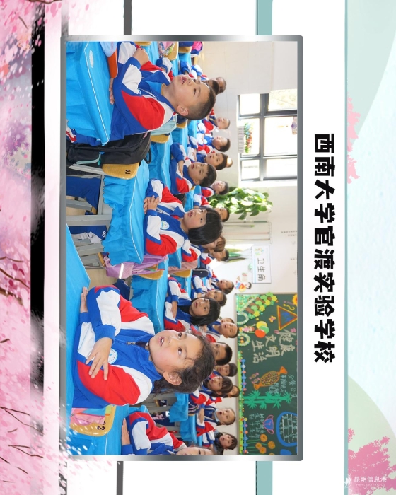 52西南大学官渡实验学校 52西南大学官渡实验学校