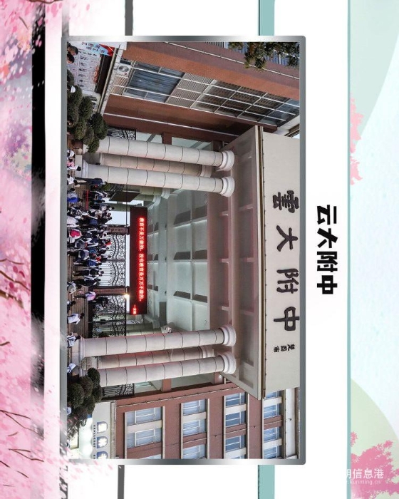 53云大附中 53云大附中