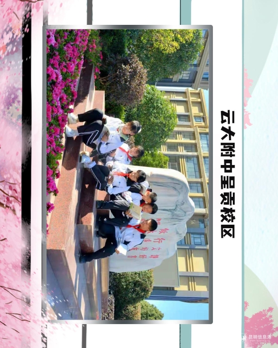 54云大附中呈贡校区 54云大附中呈贡校区