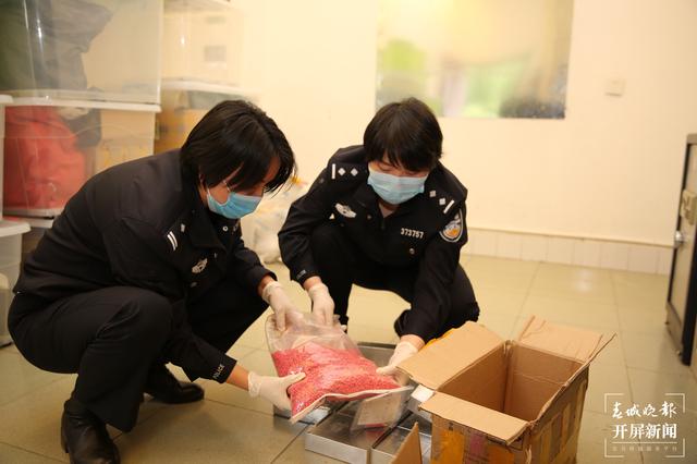 20210304084727SPLGA4