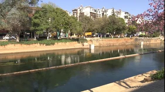 昆明盘龙江里有人栓绳遛娃