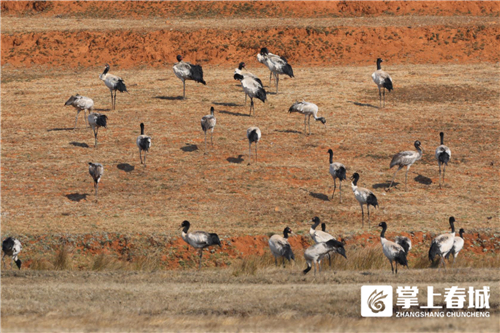 微信图片_20210310230905 微信图片_20210310230905