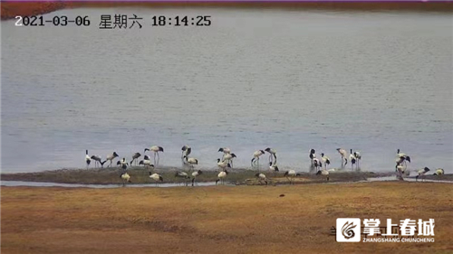 微信图片_20210310230909 微信图片_20210310230909