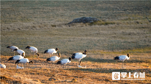 微信图片_20210310230914 微信图片_20210310230914