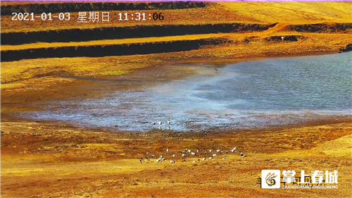 微信图片_20210310230917 微信图片_20210310230917