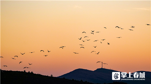 微信图片_20210310230921 微信图片_20210310230921