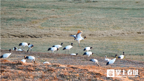 微信图片_20210310230924 微信图片_20210310230924