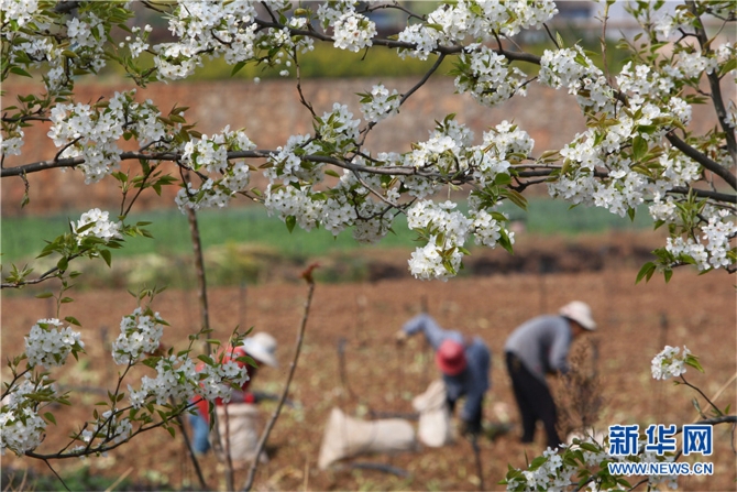 139812089_16158042530341n