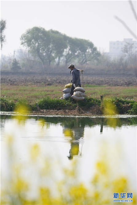 139812089_16158042534801n