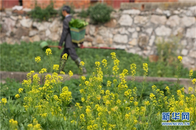 139812089_16158042539001n