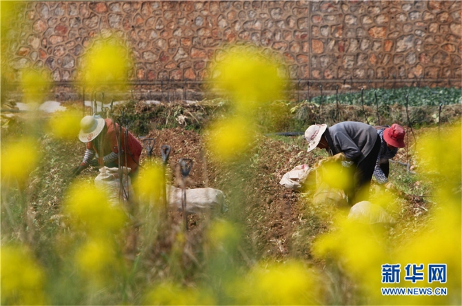 139812089_16158042545881n