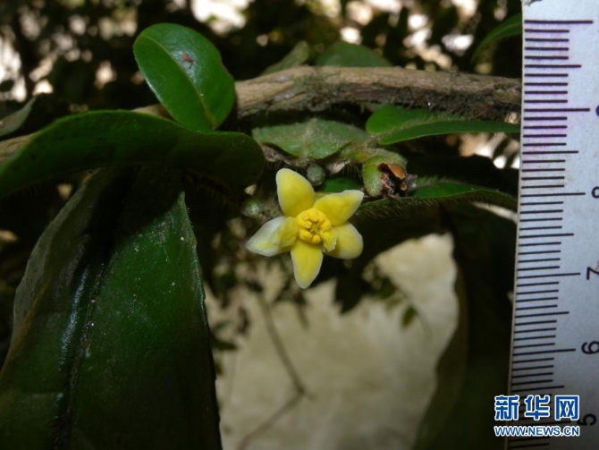 1127218683_16158925144891n