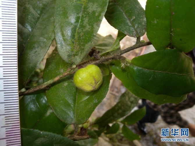 1127218683_16158925145401n