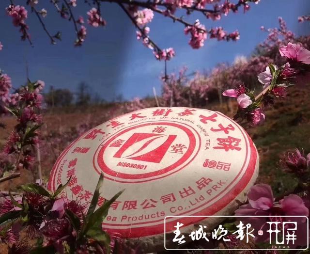 20210323190730ALPHL4