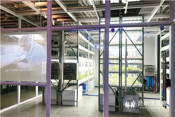 打造农业新型产业链