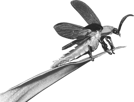 20210407A12_res03_attpic_brief