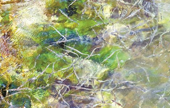 QQ截图20210410133226