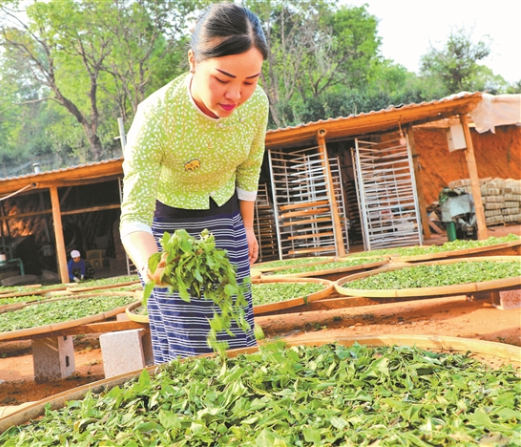 微信截图_20210412075011