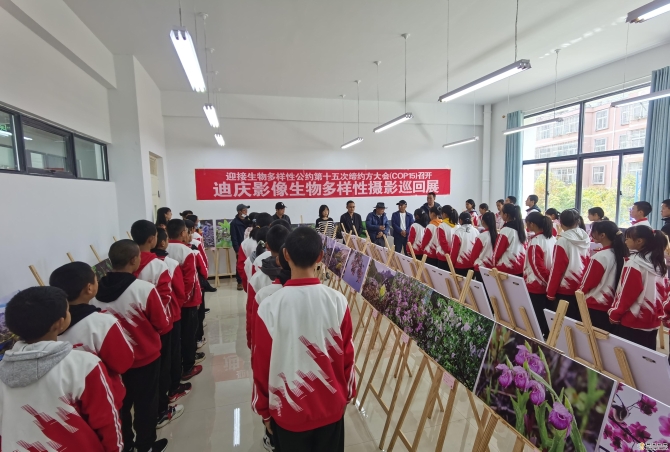 d597a25e-7a96-482d-b1a3-36f3dc372d4b_batchwm