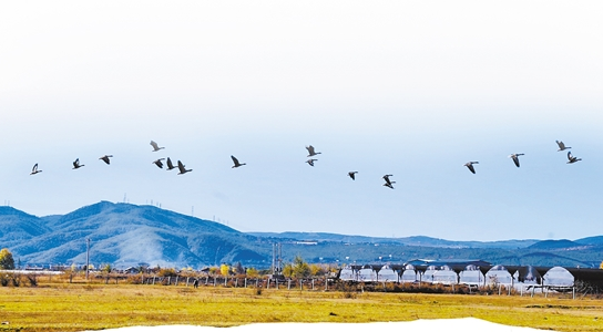 微信截图_20210413081215