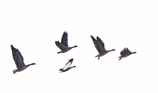 微信截图_20210413081227