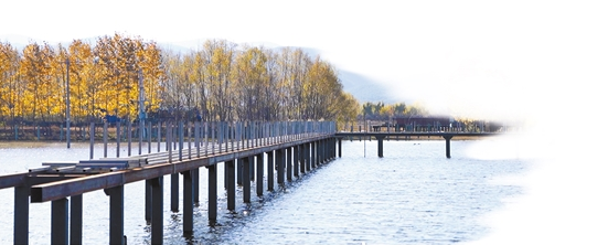 微信截图_20210413081239