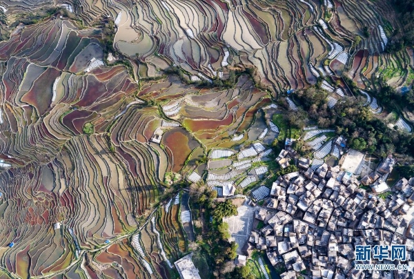 139869238_16179553186031n