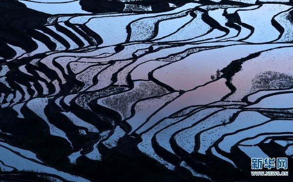 139869238_16179553187311n