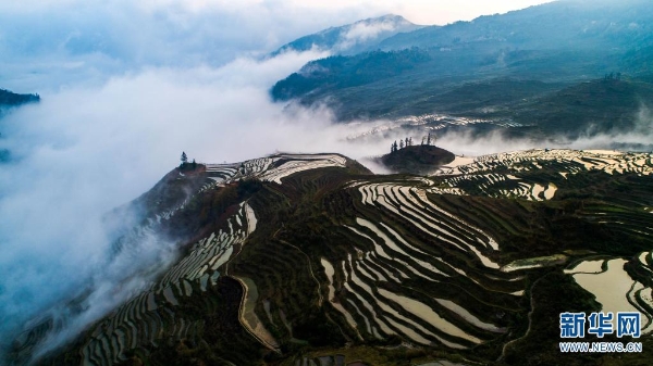 139869238_16179553189051n