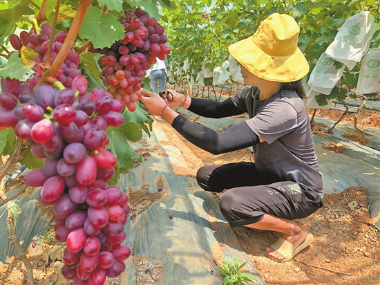 20210420A08_res11_attpic_brief