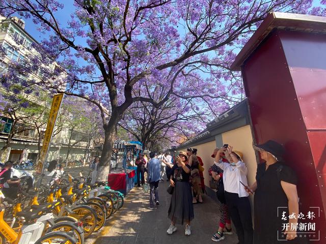 昆明教场中路（ 春城晚报-开屏新闻记者 周柯妤 摄）