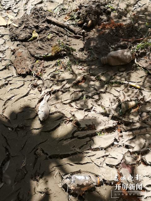 臭味难闻!昆明一小区清理水池淤泥埋在业主楼下 业主直呼:家里都待不下去了,小区环境太差 (春城晚报-开屏新闻记者 马艺宁 摄影报道)