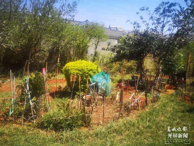 臭味难闻!昆明一小区清理水池淤泥埋在业主楼下 业主直呼:家里都待不下去了,小区环境太差 (春城晚报-开屏新闻记者 马艺宁 摄影报