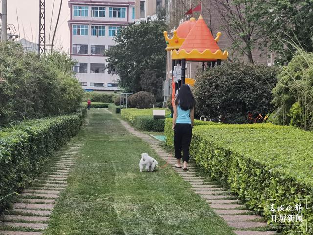 下月起遛狗不佩戴犬牌、系犬绳将涉嫌违法！（来源 春城晚报-开屏新闻记者 马艺宁 费丹艺）