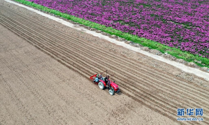 1127410734_16202174418101n