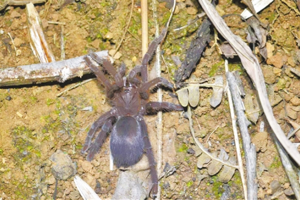 微信截图_20210514100024