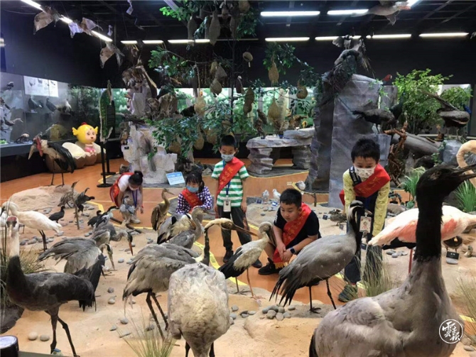 code_ynrbd80f8280-91d5-4730-a485-8efcbbdc5adf