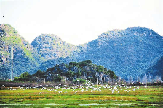 2021052401_res07_attpic_brief 2021052401_res07_attpic_brief