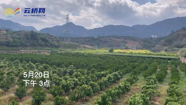 微信截图_20210524171721