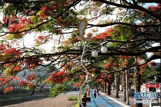 640.webp (5) 640.webp (5)