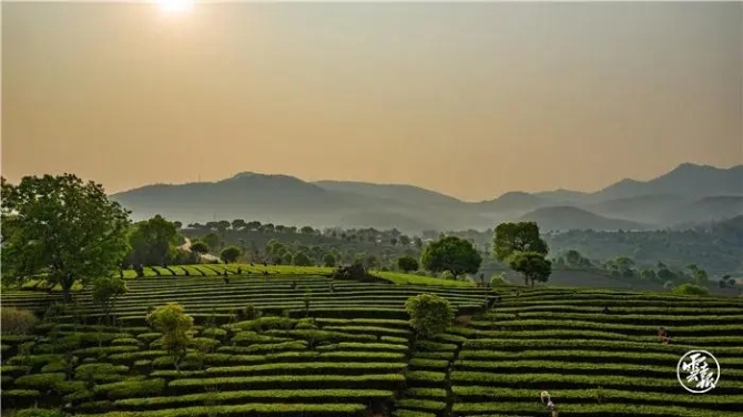 640.webp (12) 640.webp (12)