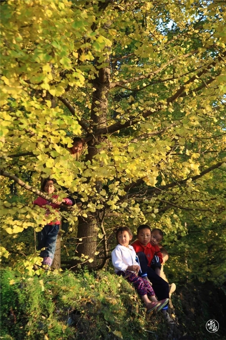 640.webp (18) 640.webp (18)