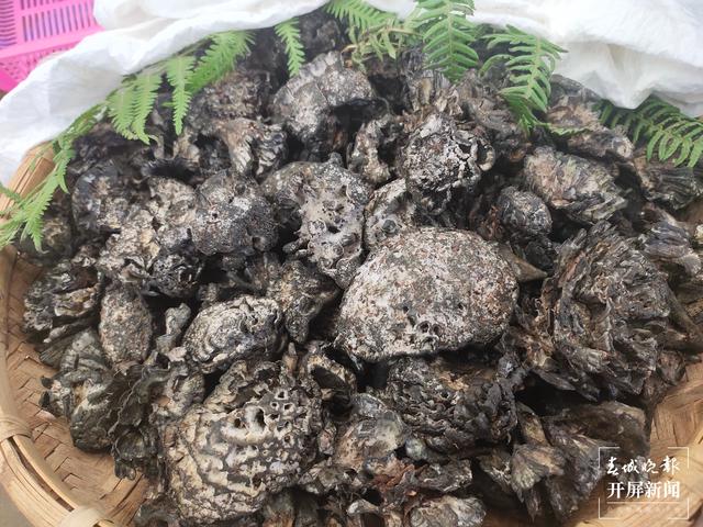 雨季来临，昆明野生菌价格一路走低（春城晚报-开屏新闻记者 孙江荭 摄）