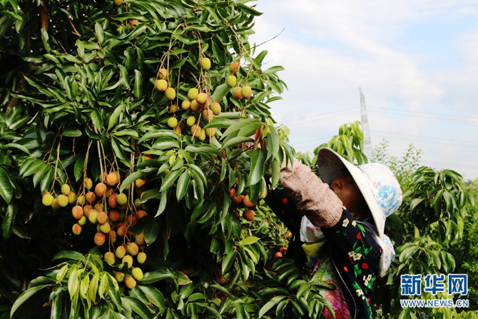 139984040_16225950397521n