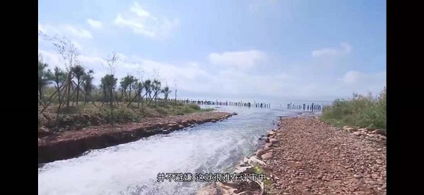 为杞麓湖虚假整改背书的这一群体