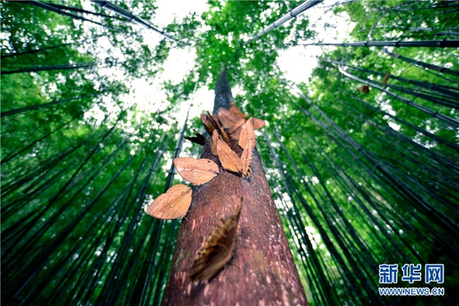 139985133_16226912343511n