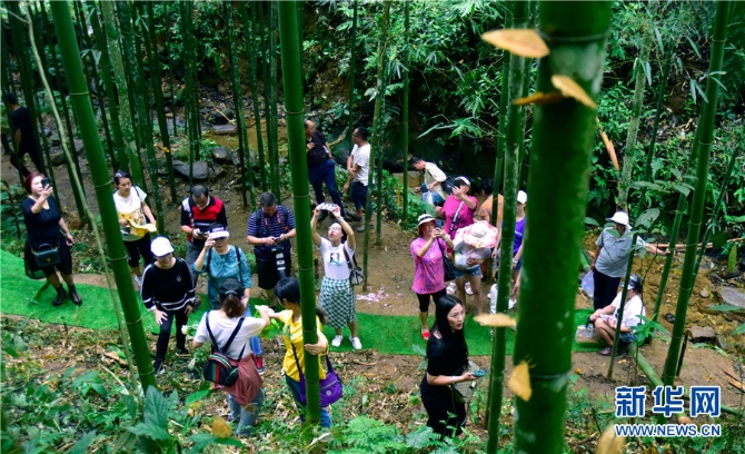 139985133_16226912348421n