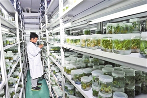 2021060501_res08_attpic_icon