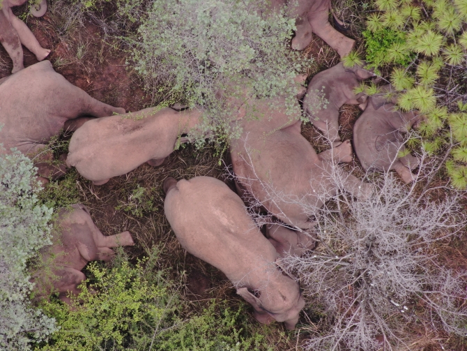 DJI_20210611092927_0057_Z DJI_20210611092927_0057_Z