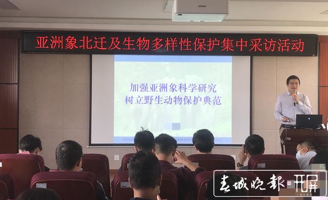 亚洲象从150头增至300头!云南是这样做到的…( 王宇衡 摄影报道)